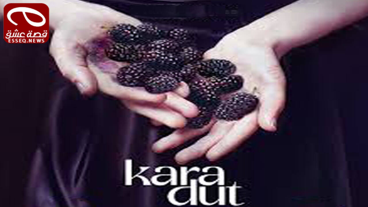 مسلسل التوت الاسود